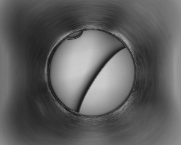 X0000096700902200802191446