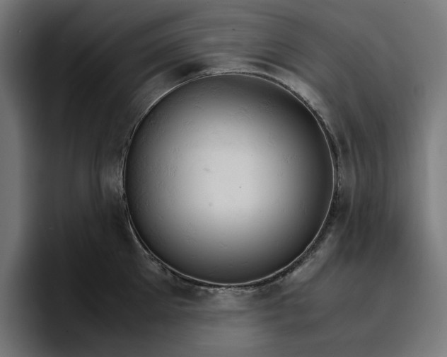 X0000096700905200802191446