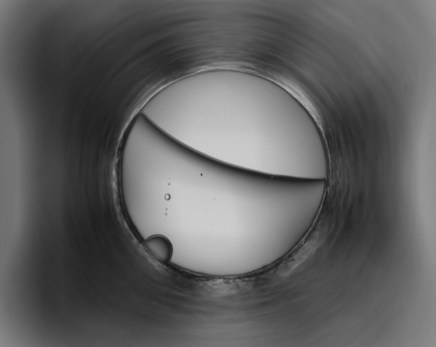 X0000096700906200802191446