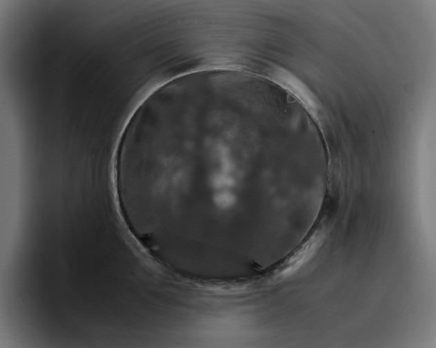 X0000096700907200802191446