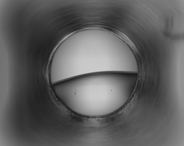 X0000096700908200802191446