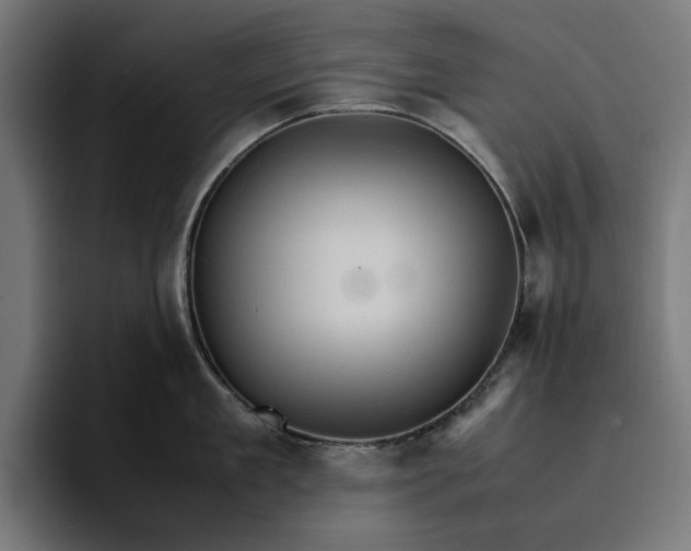 X0000096700909200802191446