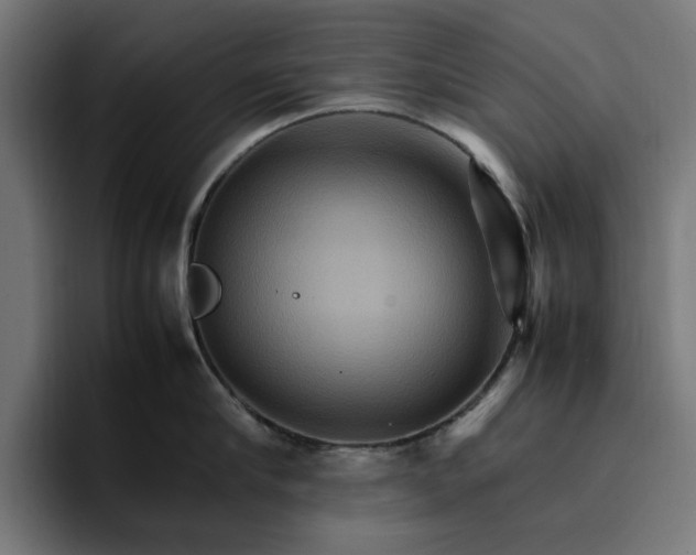 X0000096700910200802191446