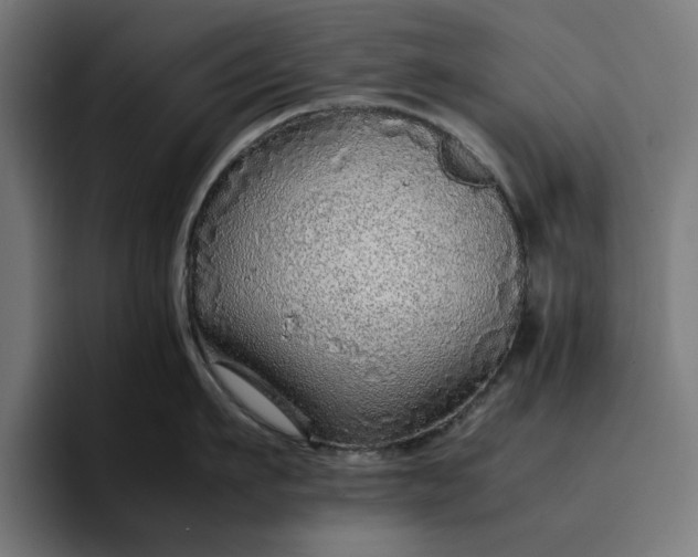 X0000096700911200802191446