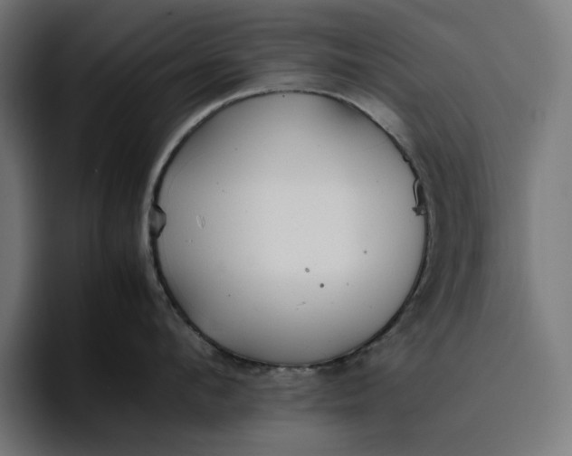 X0000096700912200802191446