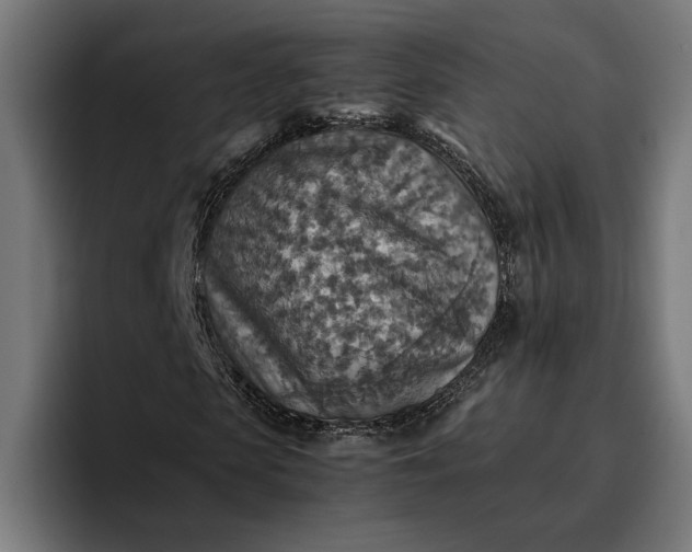 X0000096700913200802191445