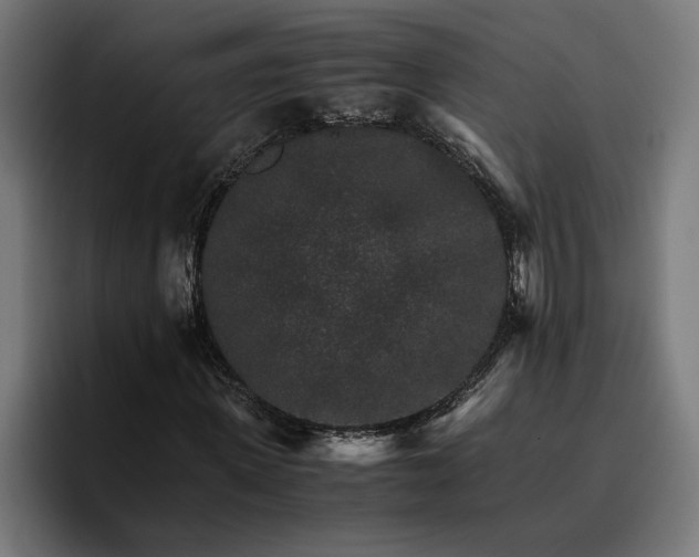 X0000096700915200802191445