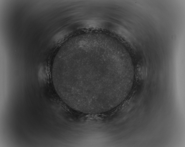 X0000096700918200802191445