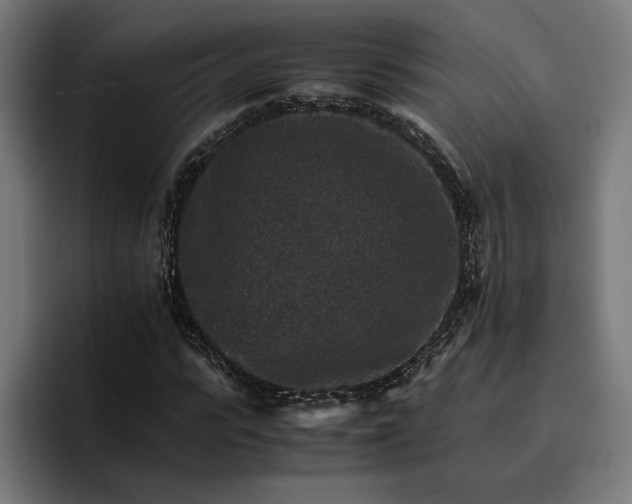 X0000096700919200802191445