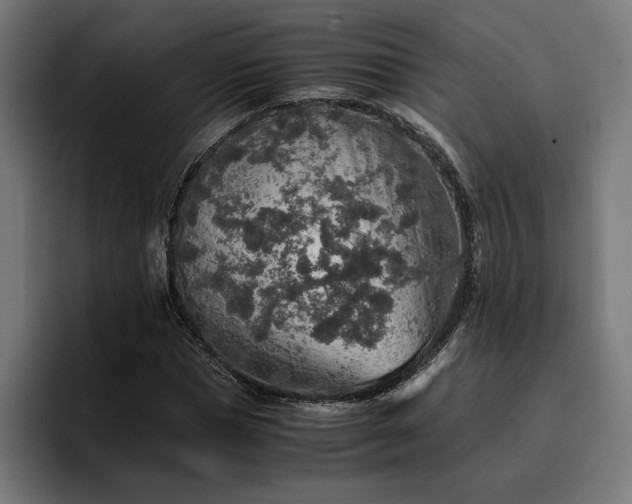 X0000096700921200802191445