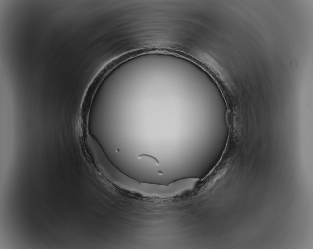 X0000096700924200802191445