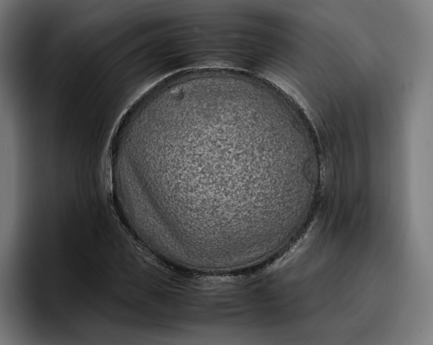 X0000096700925200802191445