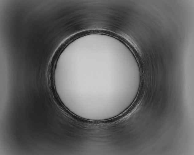 X0000096700926200802191445