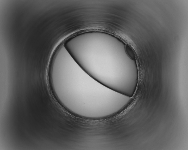 X0000096700928200802191445