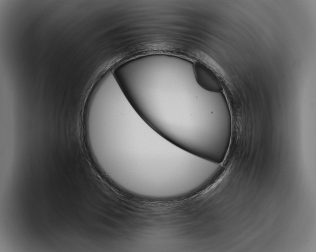 X0000096700930200802191445