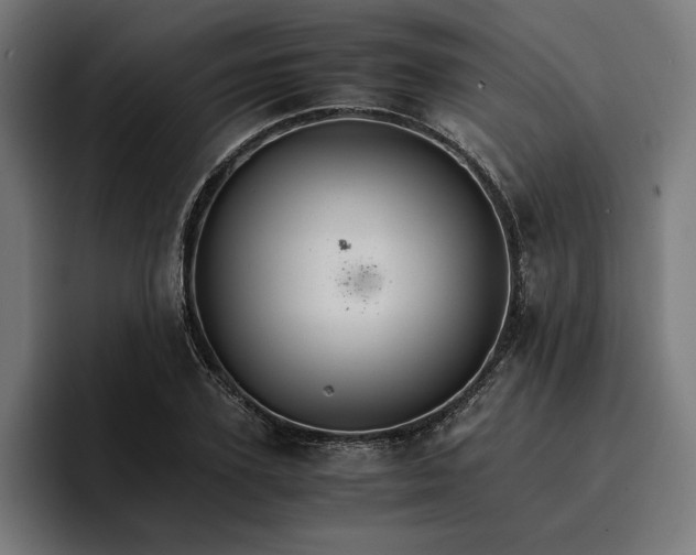 X0000096700931200802191445