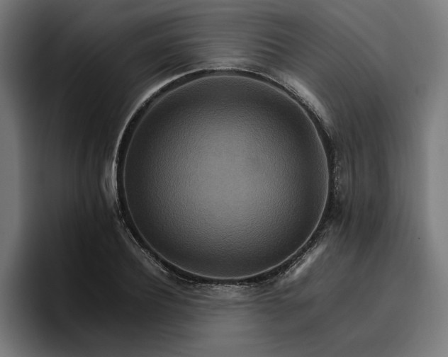 X0000096700932200802191445