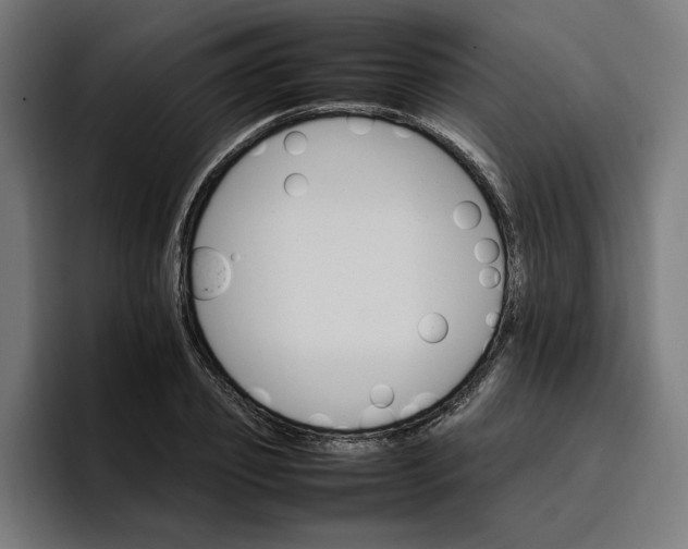 X0000096700933200802191445