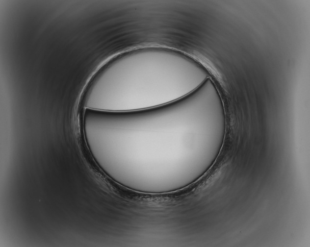 X0000096700934200802191445