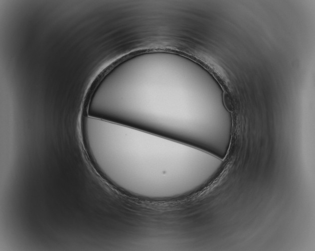 X0000096700936200802191445