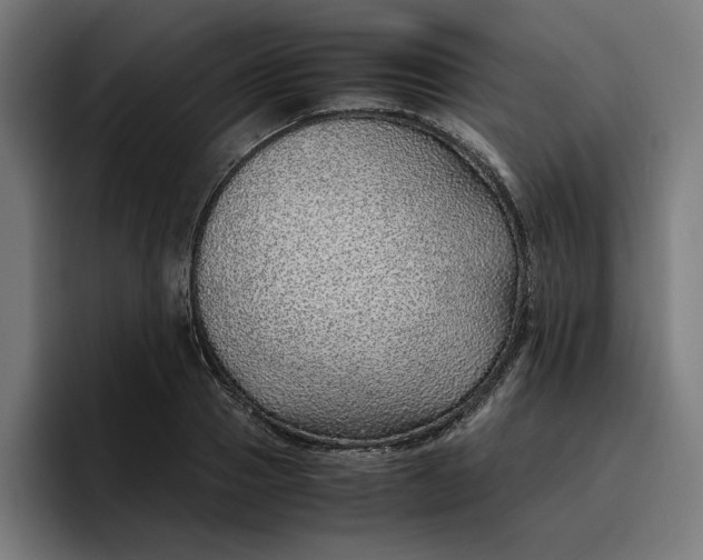X0000096700937200802191445