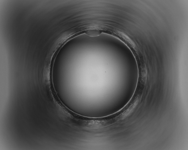 X0000096700938200802191445