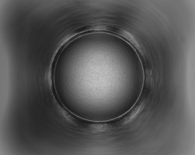 X0000096700939200802191445