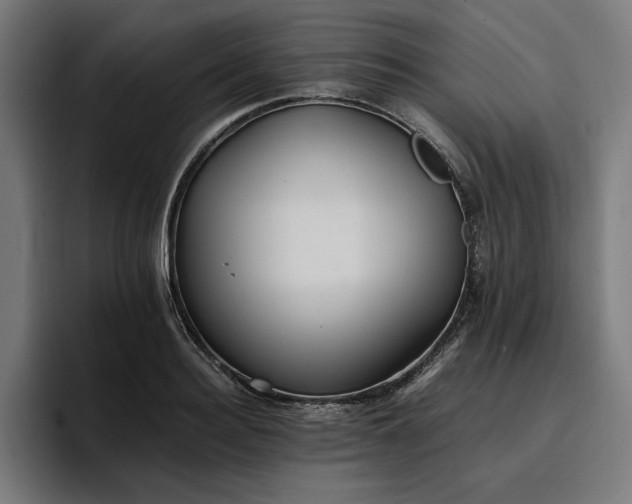 X0000096700940200802191445