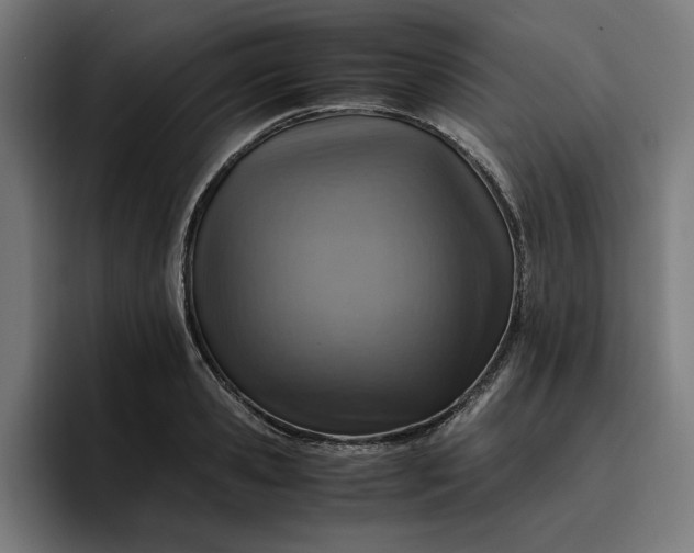 X0000096700941200802191445