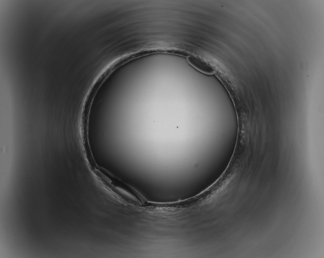 X0000096700942200802191445