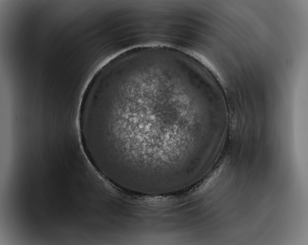 X0000096700943200802191445