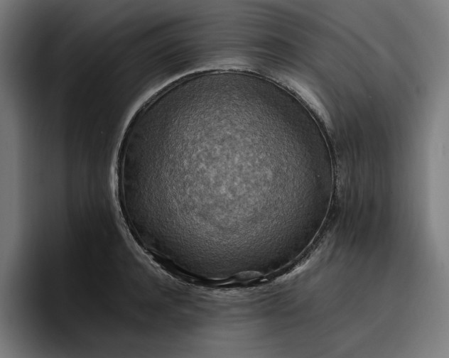 X0000096700944200802191445