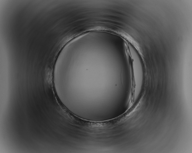 X0000096700945200802191445
