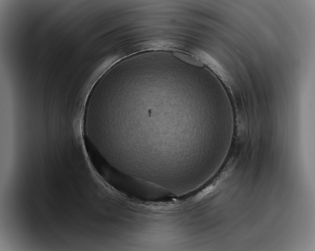 X0000096700946200802191445