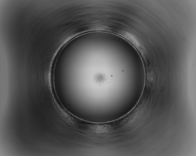 X0000096700947200802191445