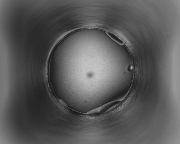 X0000096700948200802191445