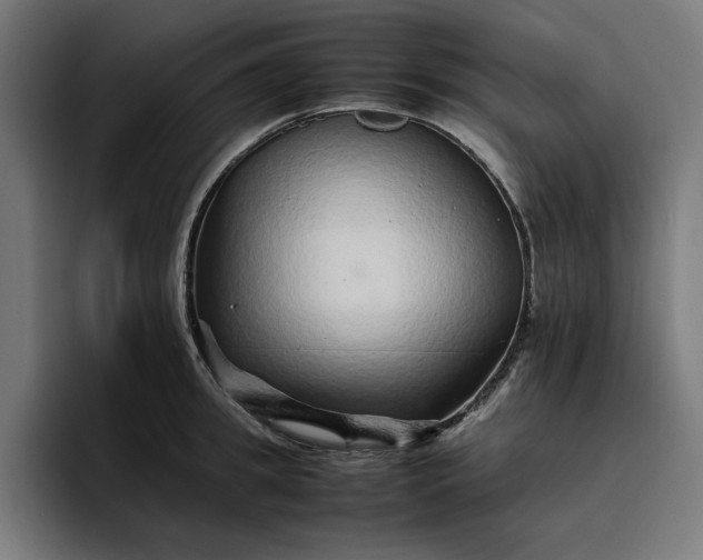 X0000096700949200802191445