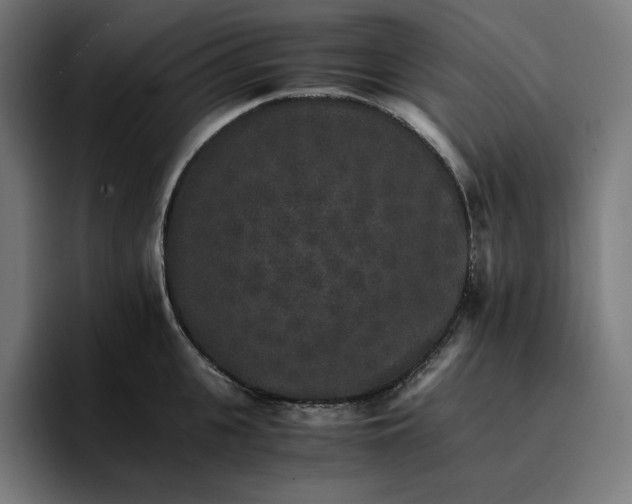X0000096700951200802191445