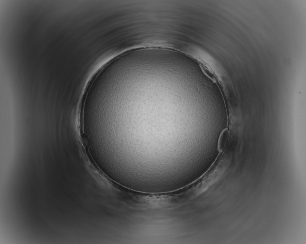 X0000096700952200802191445