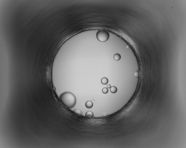 X0000096700953200802191445