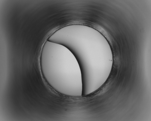 X0000096700954200802191445