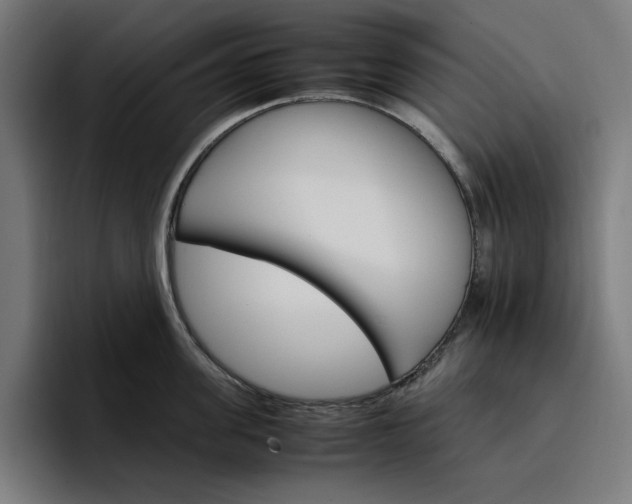 X0000096700955200802191445