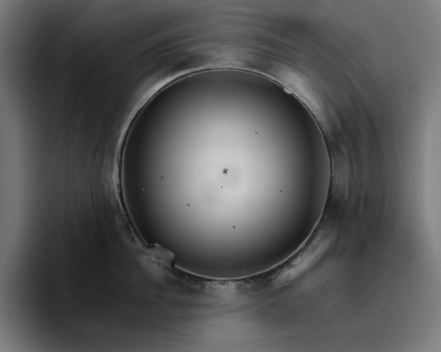 X0000096700956200802191445