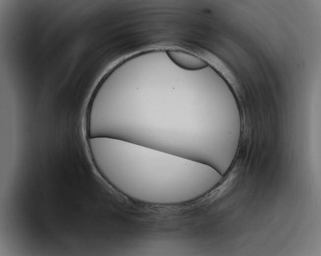 X0000096700958200802191445