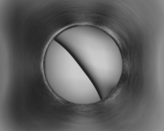 X0000096700959200802191445