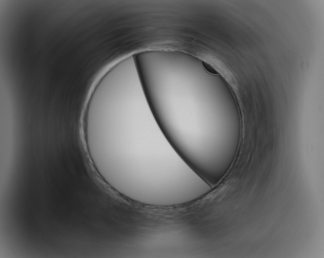 X0000096700960200802191446