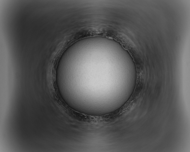 X0000096700961200802191445