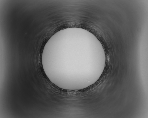X0000096700963200802191445