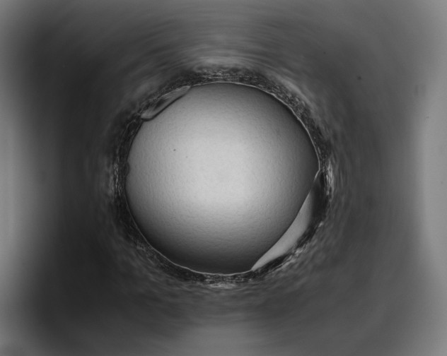 X0000096700965200802191445