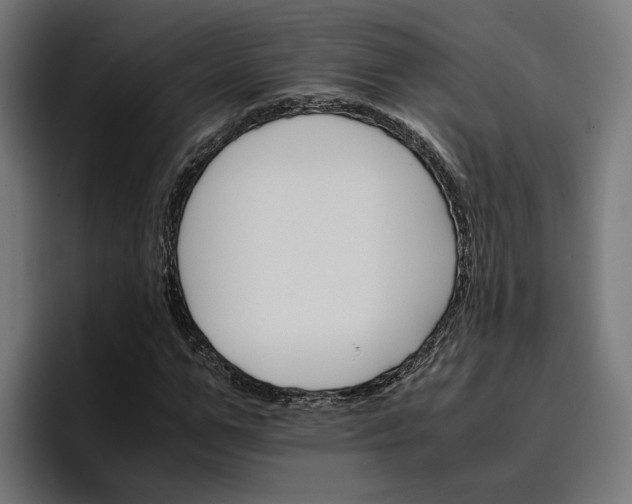 X0000096700967200802191445